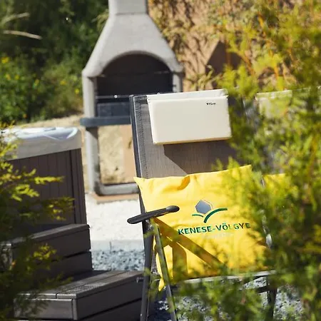 Kenese-voelgye ホテル バラトンケネシェ