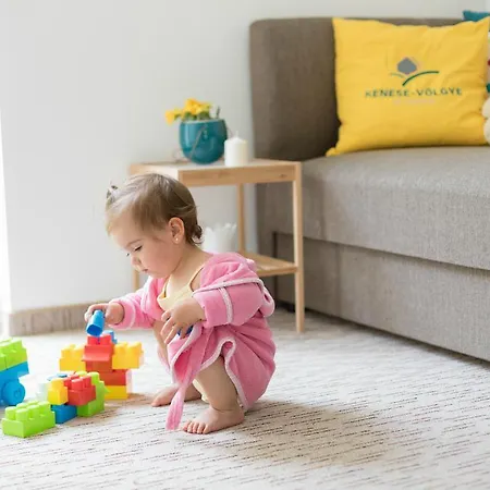 Kenese-voelgye 3* バラトンケネシェ